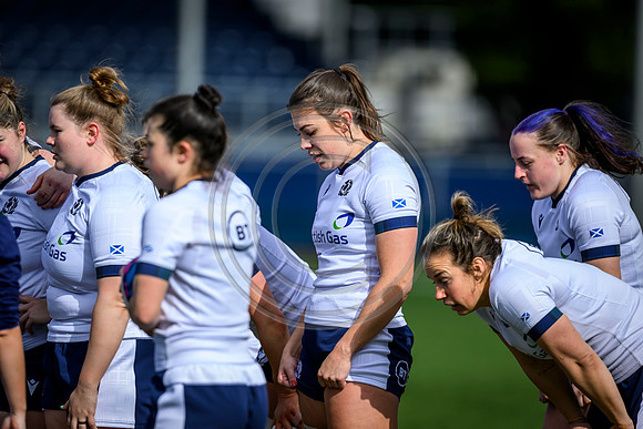 Captains Run