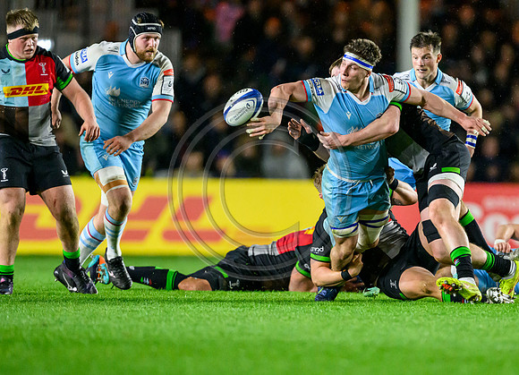 Quins v Warriors