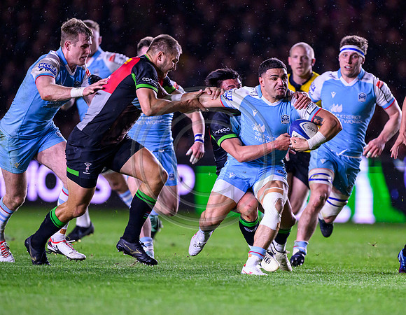Quins v Warriors
