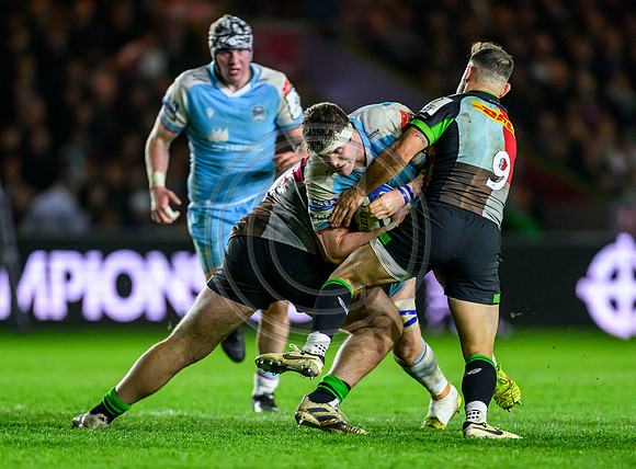 Quins v Warriors