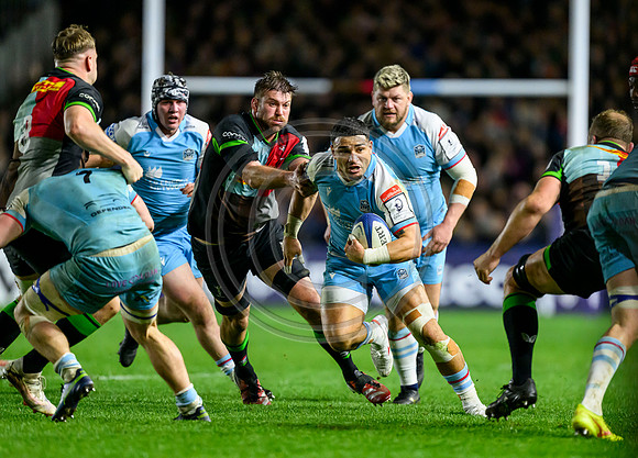Quins v Warriors