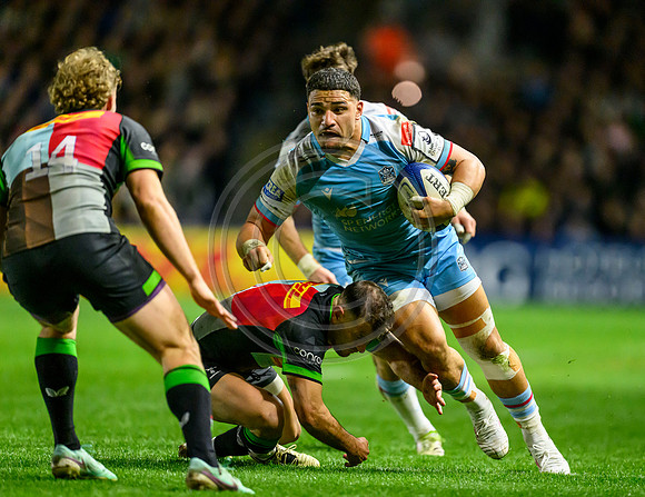 Quins v Warriors