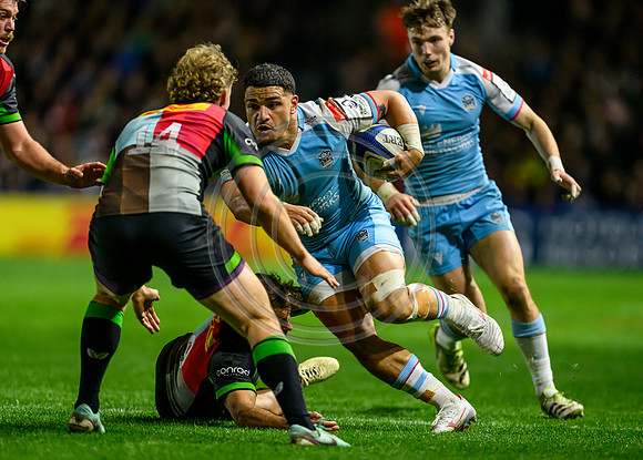 Quins v Warriors