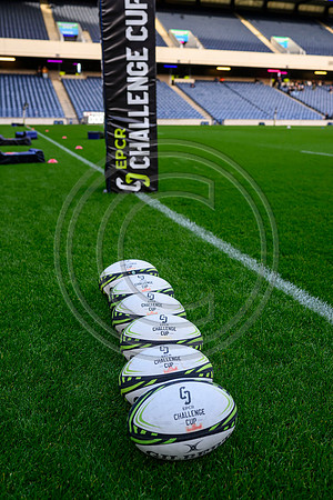 Quins v Warriors