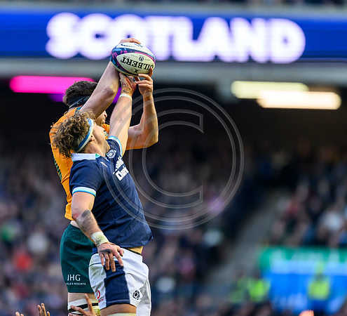 Scotland v Australia