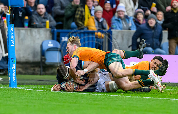 Scotland v Australia