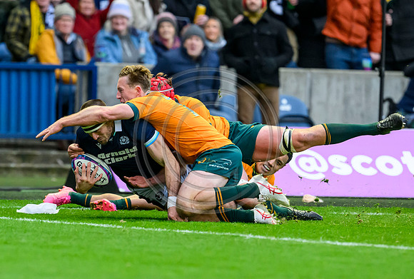 Scotland v Australia