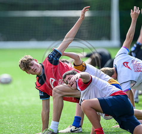 Accelerate Rugby