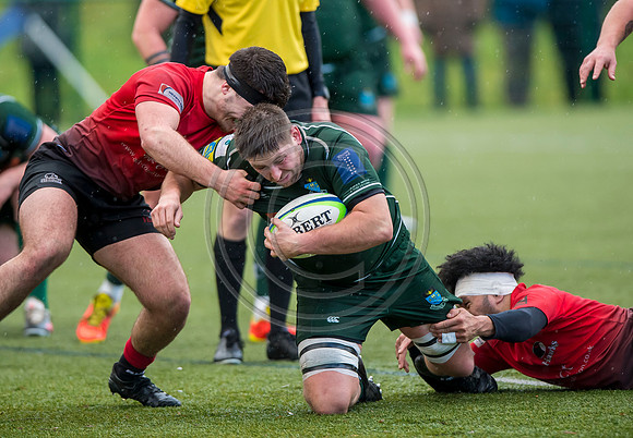 Glasgow Hawks v Hawick