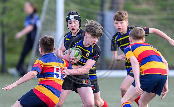 SP Energy Networks Warriors Championships Semi Final