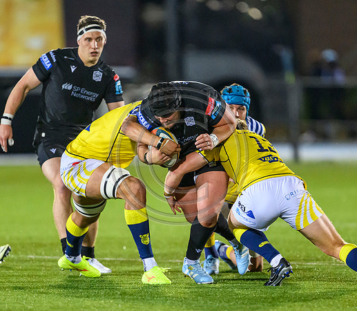 Warriors v Zebre