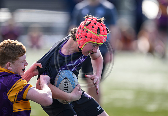 SPEN Warrior Championship Semi-Final