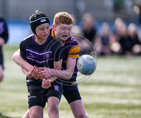 SPEN Warrior Championship Semi-Final