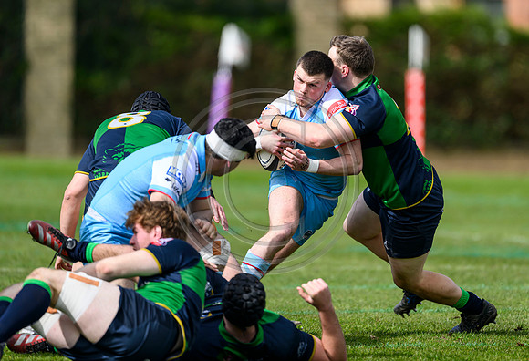 Bears v Warriors