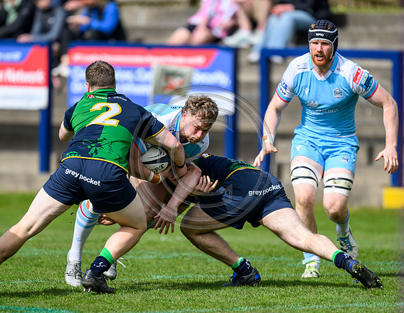 Bears v Warriors