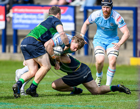 Bears v Warriors