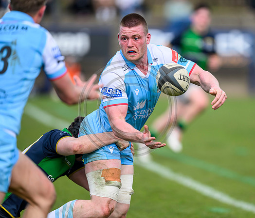 Bears v Warriors