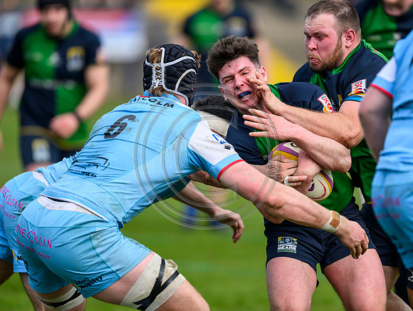 Bears v Warriors