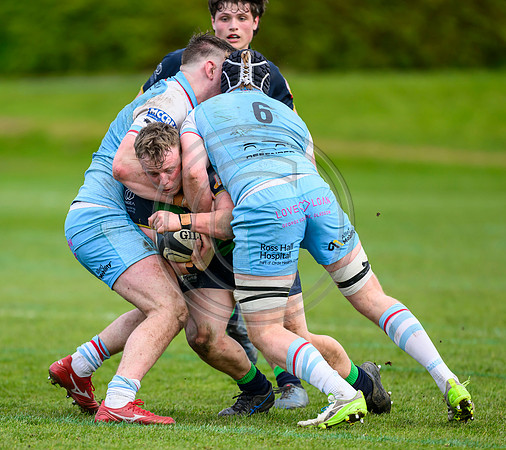 Bears v Warriors