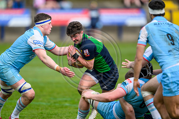 Bears v Warriors