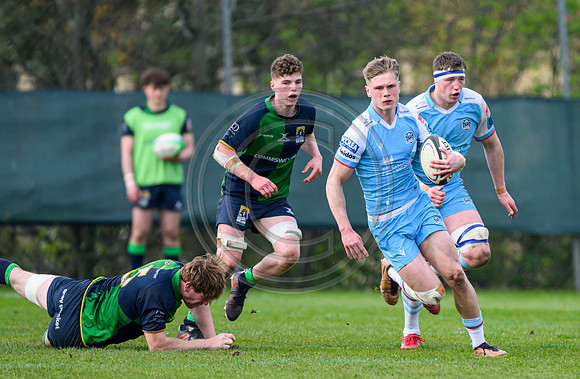 Bears v Warriors