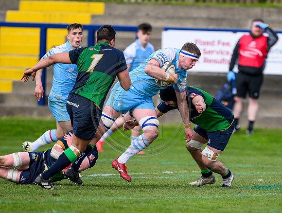 Bears v Warriors