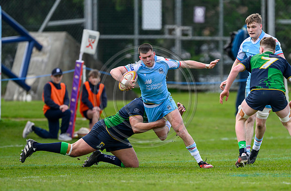Bears v Warriors