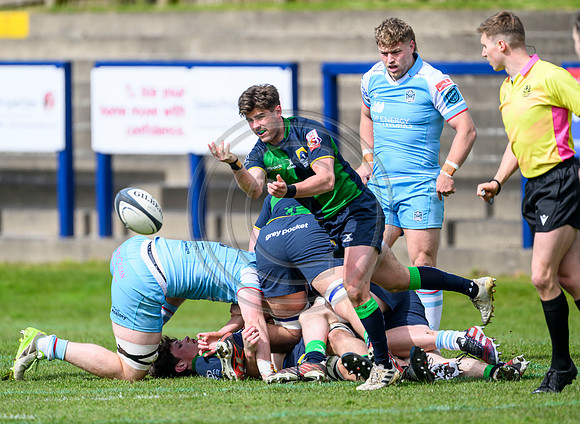 Bears v Warriors
