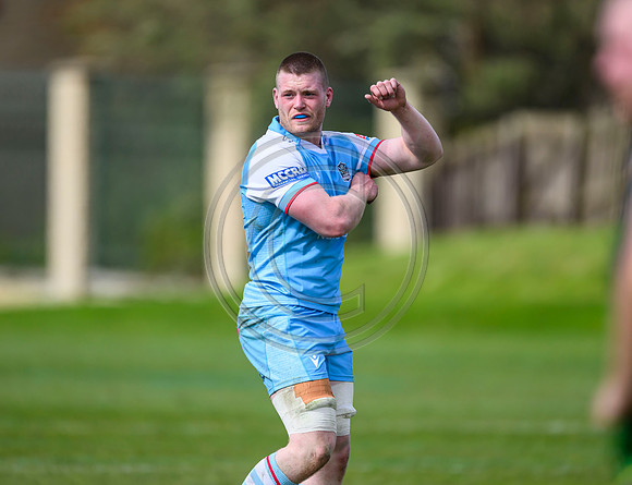 Bears v Warriors
