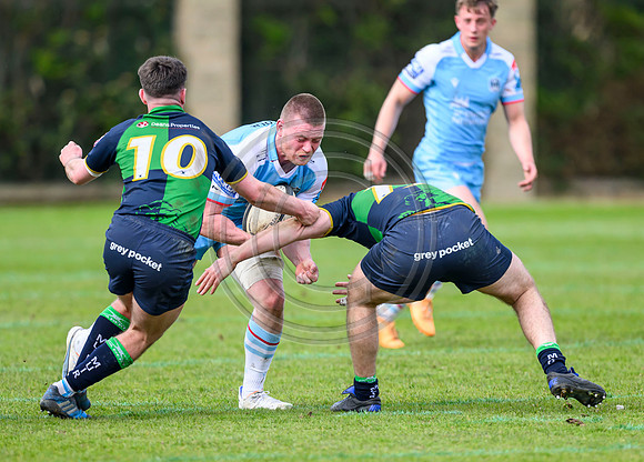 Bears v Warriors