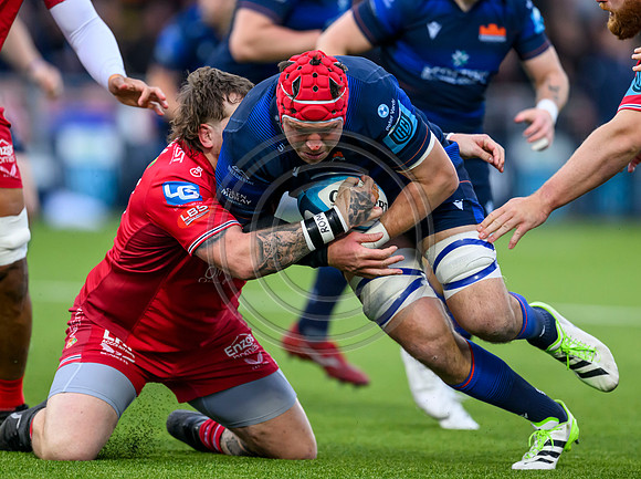 Edinburgh v Scarlets
