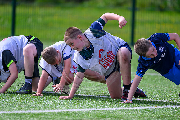 Accelerate Rugby