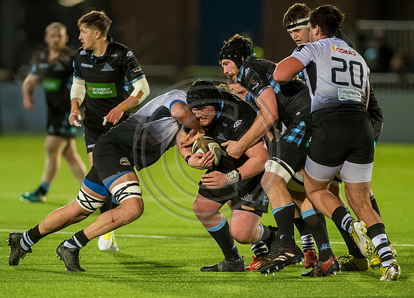 pro14, glasgow, glasgow warriors, glasgow v zebre, glasgow warriors v zebre, warriors v zebre, zebre, rugby
