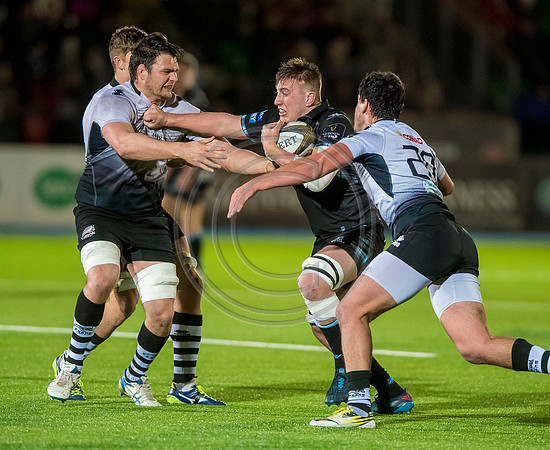 pro14, glasgow, glasgow warriors, glasgow v zebre, glasgow warriors v zebre, warriors v zebre, zebre, rugby