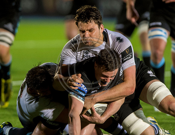 pro14, glasgow, glasgow warriors, glasgow v zebre, glasgow warriors v zebre, warriors v zebre, zebre, rugby
