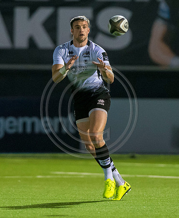 pro14, glasgow, glasgow warriors, glasgow v zebre, glasgow warriors v zebre, warriors v zebre, zebre, rugby