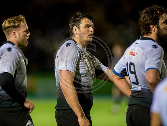 pro14, glasgow, glasgow warriors, glasgow v zebre, glasgow warriors v zebre, warriors v zebre, zebre, rugby