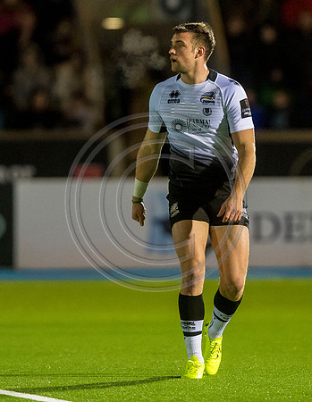 pro14, glasgow, glasgow warriors, glasgow v zebre, glasgow warriors v zebre, warriors v zebre, zebre, rugby