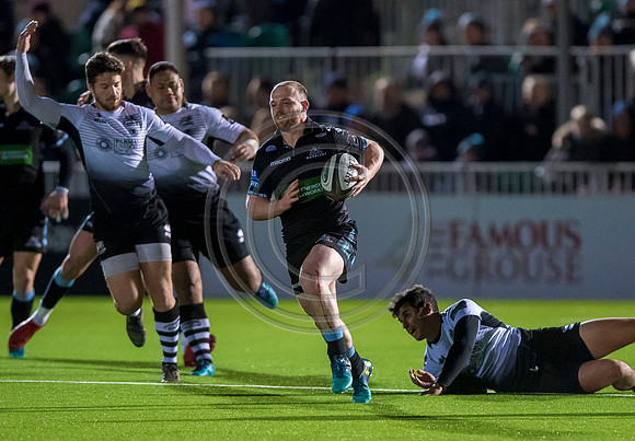 pro14, glasgow, glasgow warriors, glasgow v zebre, glasgow warriors v zebre, warriors v zebre, zebre, rugby