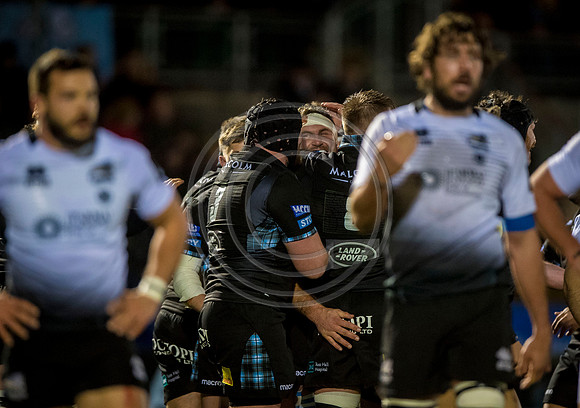 pro14, glasgow, glasgow warriors, glasgow v zebre, glasgow warriors v zebre, warriors v zebre, zebre, rugby
