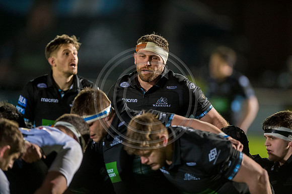 pro14, glasgow, glasgow warriors, glasgow v zebre, glasgow warriors v zebre, warriors v zebre, zebre, rugby