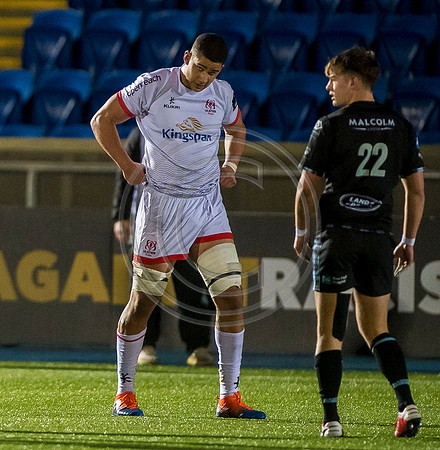 Warriors v Ulster
