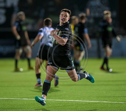 pro14, glasgow, glasgow warriors, glasgow v zebre, glasgow warriors v zebre, warriors v zebre, zebre, rugby