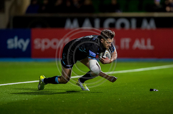 pro14, glasgow, glasgow warriors, glasgow v zebre, glasgow warriors v zebre, warriors v zebre, zebre, rugby