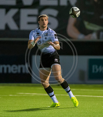 pro14, glasgow, glasgow warriors, glasgow v zebre, glasgow warriors v zebre, warriors v zebre, zebre, rugby