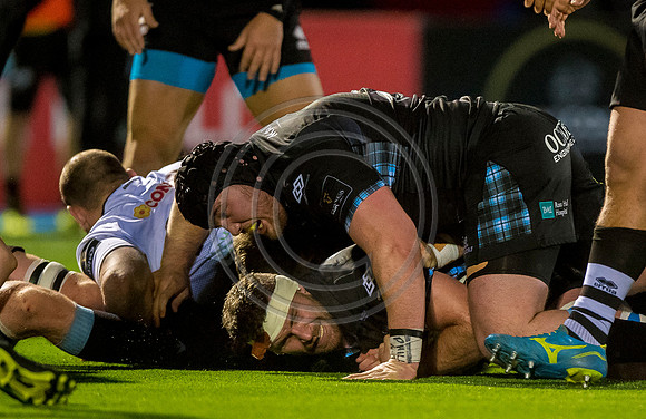 pro14, glasgow, glasgow warriors, glasgow v zebre, glasgow warriors v zebre, warriors v zebre, zebre, rugby