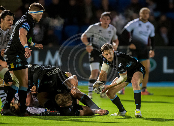 pro14, glasgow, glasgow warriors, glasgow v zebre, glasgow warriors v zebre, warriors v zebre, zebre, rugby