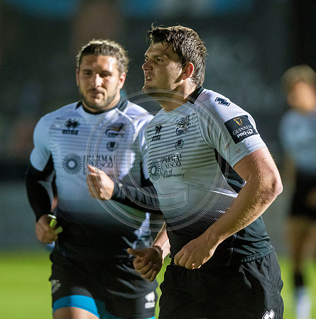 pro14, glasgow, glasgow warriors, glasgow v zebre, glasgow warriors v zebre, warriors v zebre, zebre, rugby