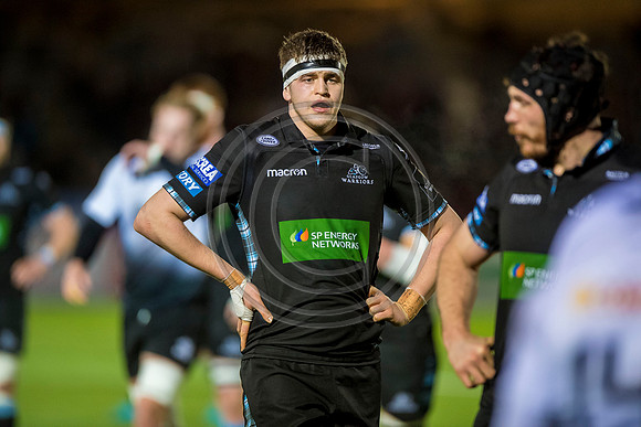 pro14, glasgow, glasgow warriors, glasgow v zebre, glasgow warriors v zebre, warriors v zebre, zebre, rugby