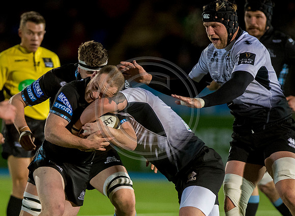 pro14, glasgow, glasgow warriors, glasgow v zebre, glasgow warriors v zebre, warriors v zebre, zebre, rugby